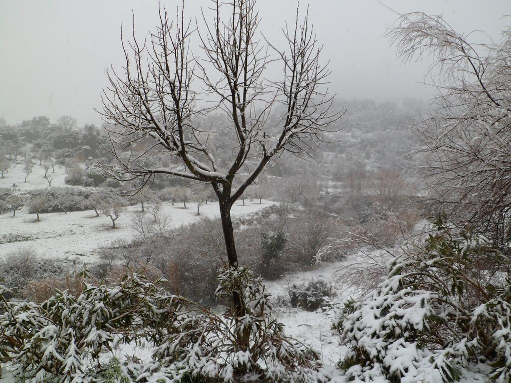 Casa Felisa Pirineo Aragones Villa Santa Eulalia de Gallego ภายนอก รูปภาพ